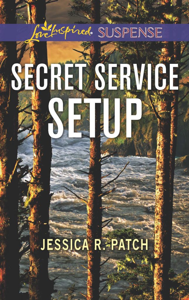 Secret Service Setup by Jessica R. Patch