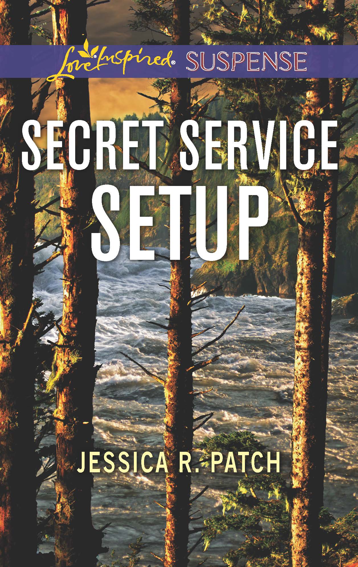 secret-service-setup-jessica-r-patch